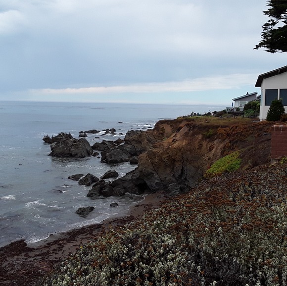 Meet your Posher, Margaret - Picture 1 of 1